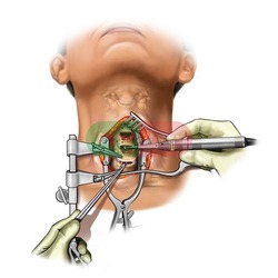 Neurosurgeon in Nashik| Minimally invasive spine surgeon in Nashik| Brain Surgeon In Nashik | Brain spine surgeon in Nashik